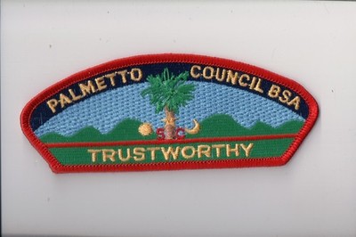Palmetto Council SA-14 2001 Friends Of Scouting Trustworthy CSP