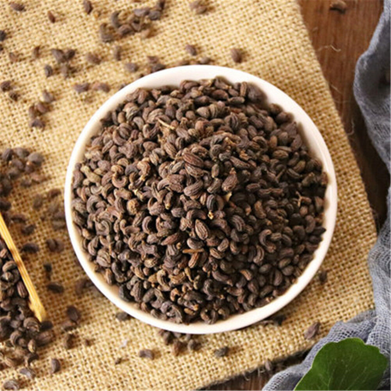 100% Natural Ligustri lucidi Fructus Nv Zhen Zi Organic Herb