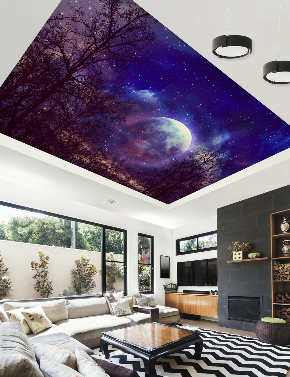 Papier Peint Panoramique 3D Moonlight Tree - Impression Murale AJ Wallpaper