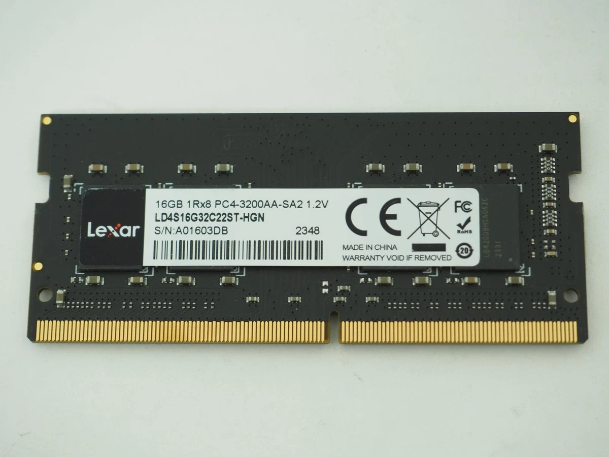 Las mejores ofertas en PC4-25600 (DDR4-3200) velocidad de bus 16