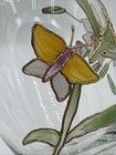 Bild 8 von 17