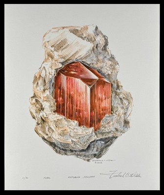 Fred Wilda - Topaz - Pakistan- Limited Edition Mineral Art Print