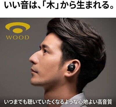 HA-FW1000T Victor WOOD Wireless Noise Cancelling Earphone Bluetooth Fast  Shippin