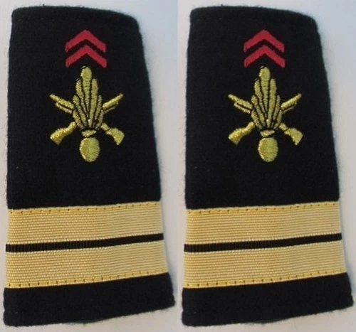 PAIRE DE FOURREAUX D'EPAULES LIEUTENANT INFANTERIE NEUFS GALON ARMEE DE TERRE