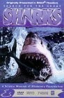 Search for the Great Sharks / Imax & Ac-3 (Bilingual) [DVD]
