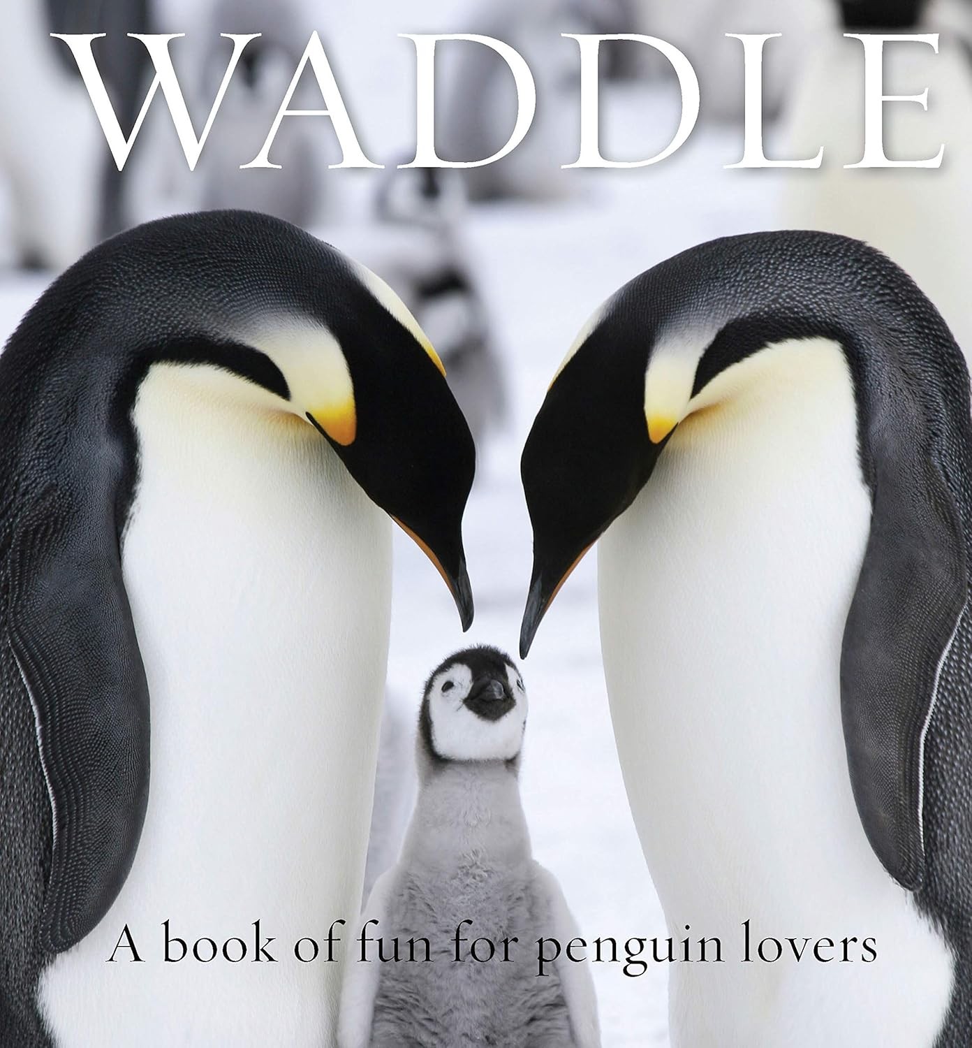 Waddle: A Book of Fun for Penguin Lovers (Animal Happiness) [hardcover] Spencer,
