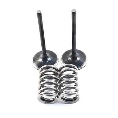 OEM Grade Intake Valve 2005-2017 Honda CRF450X Steel Kit 449cc Dirt Bike MX