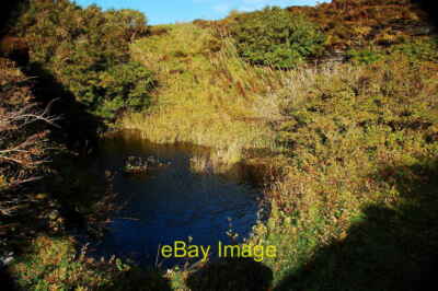 Foto 6x4 Abgeschiedener Teich Irland Versteckt im stillgelegten Steinbruch. re c2010