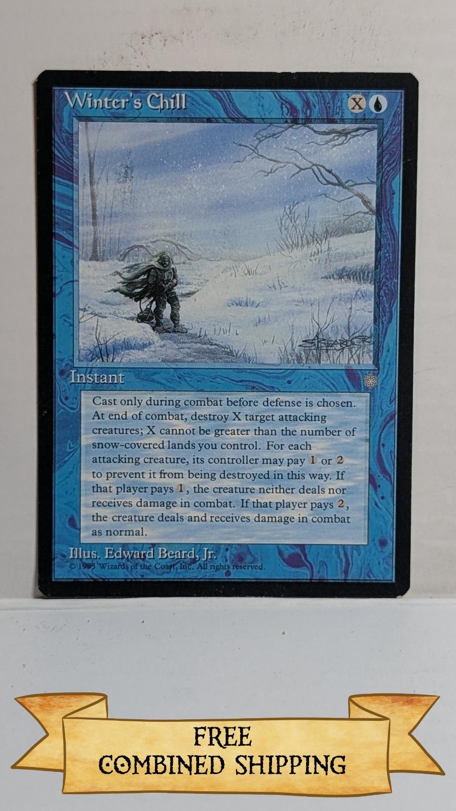 Winter's Chill Ice Age ...sku: DD249