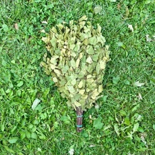 Set of 10 Sauna Birch Brooms, Birch Sauna or Banya Whisks, 10 pc in set