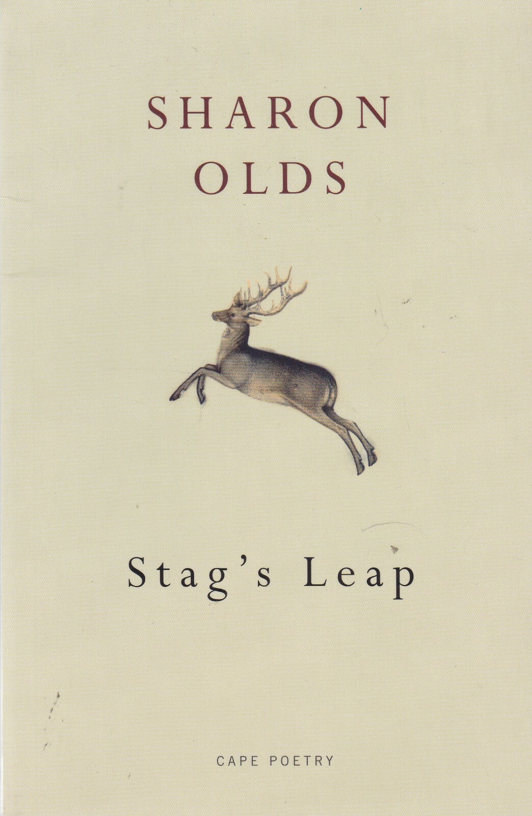 Stag's Leap by Sharon Olds Paperback Book 9780224096942