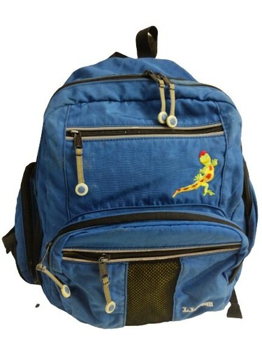 ll bean travel backpack