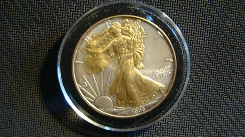 2008 American Silver Eagle W/ Gold Guilding 1oz Fine Silver From A Local Estate