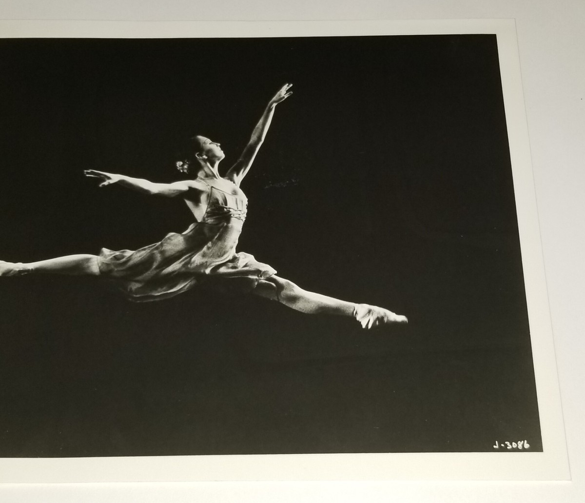 JOFFREY BALLET 8x10 HERBERT MIGDOLL PRESS PHOTO JILL DAVIDSON