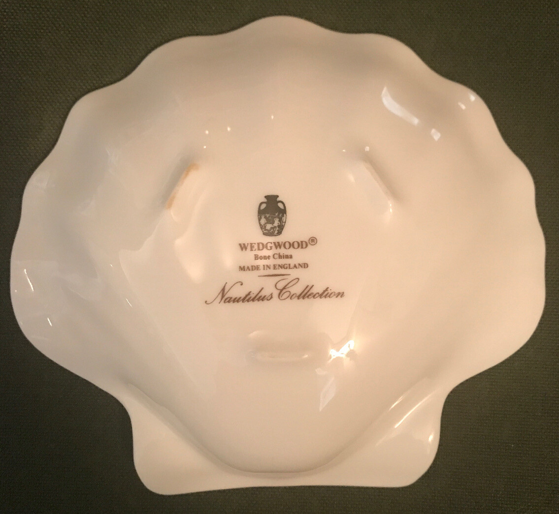 Nautilus collection 貝殻 小物入れ 【公式通販】