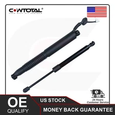 Pair Rear Tailgate Power Hatch Lift Support Strut Shock For Tesla Model 3 21-23