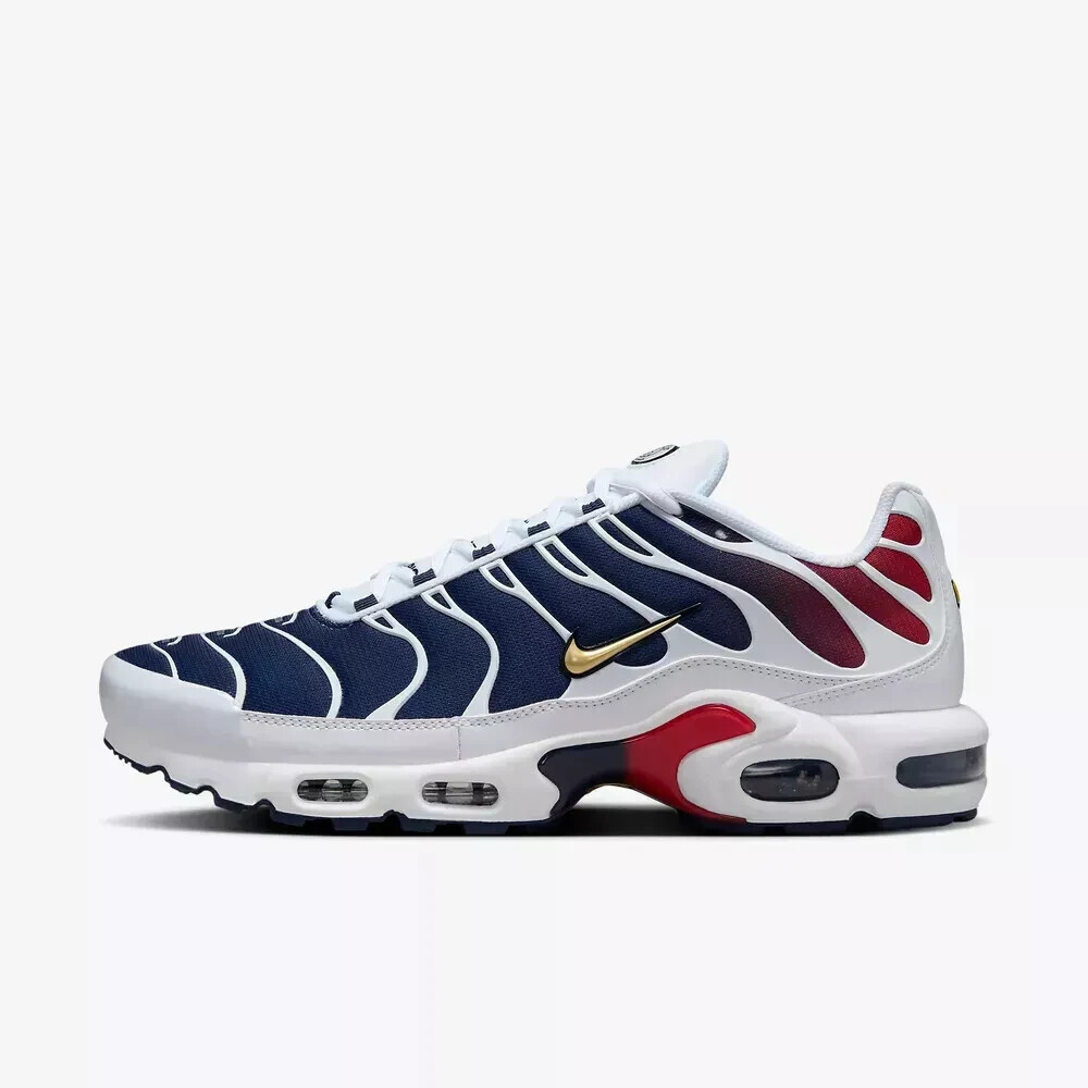 Size 10.5 - Paris Saint-Germain x Nike Air Max Plus Home Kit for