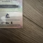 Bild 10 von 12