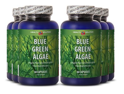 Increases Smooth Recovery - Organic Blue Green Algae - Chorella & Spirulina 6B 