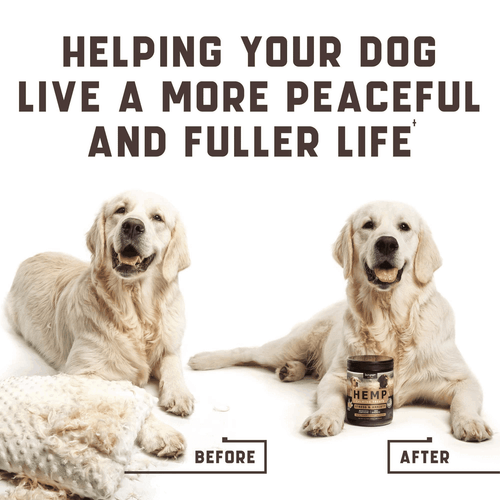 Kinpur Pet Care Natural Calming Chews for Dogs with Hemp Oil and Valerian Root - Picture 5 of 7