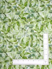 Garden Roses Pink Rose Floral Tonal Fabric Half-Yard Cotton Timeless Treasures
