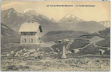 31786  CARTOLINA d'Epoca AOSTA provincia - SAN BERNARDO: jardin botanique