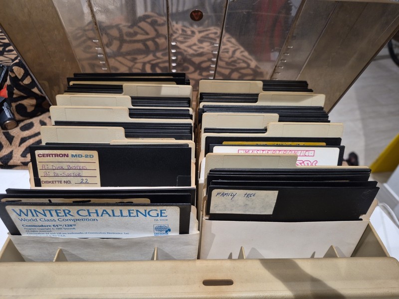 Vintage Commodore64 Floppy Disk MEGA LOT Questron Bruce Lee Donkey Kong Frogger