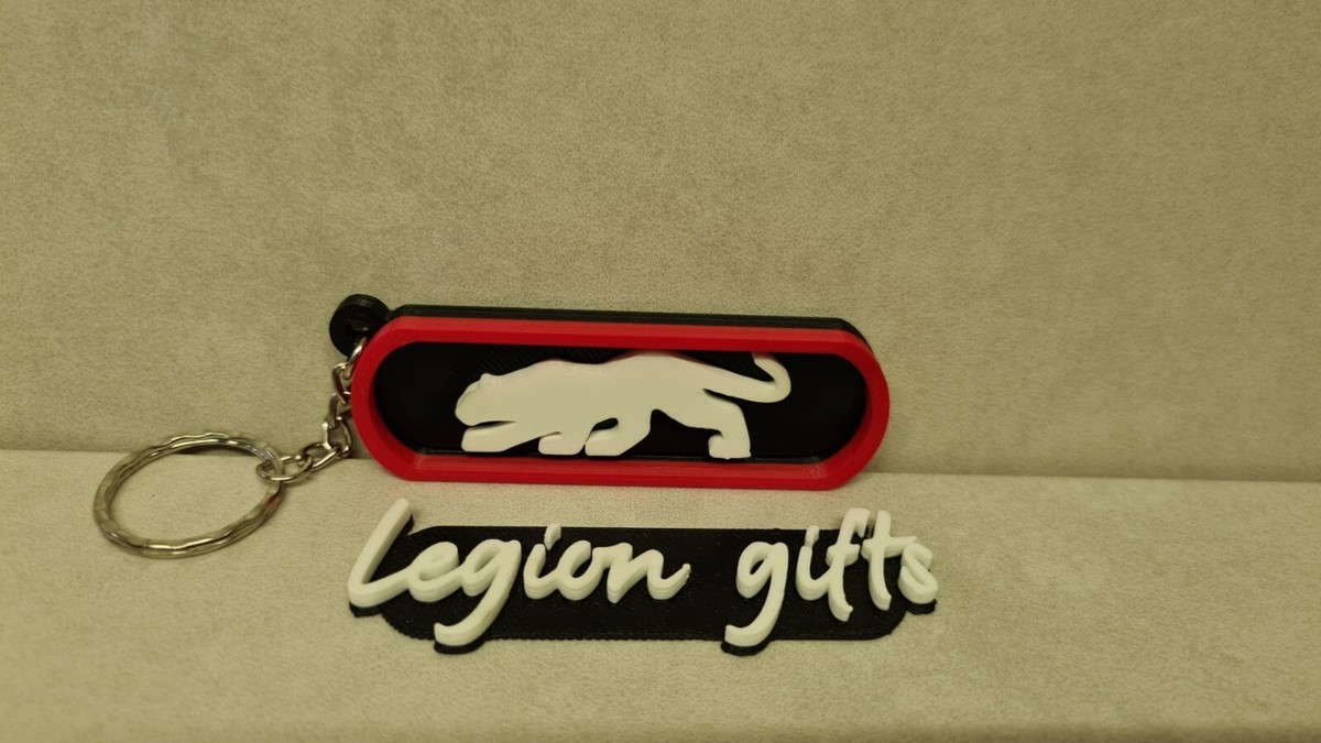 Car Keyring Ford Puma Puma Keychain Key Fob For Ford Puma Mk2