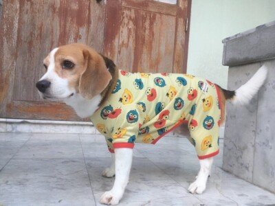 Dog Clothes Pajamas style with nice cotton and comfy luxury one