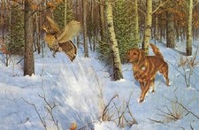 Owen Gromme Startled Grouse Golden Retriever Dog and Grouse A/P on Paper