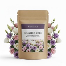 Lisianthus Seeds, Pack of 100 Mixed Color Eustoma Grandiflorum