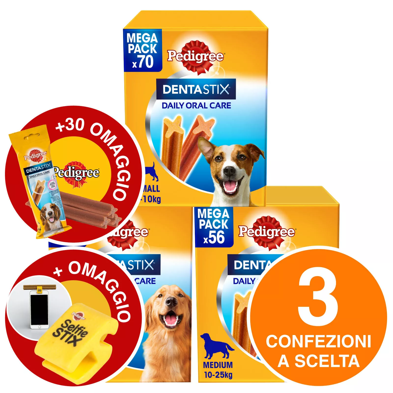 Foto 1 di 4