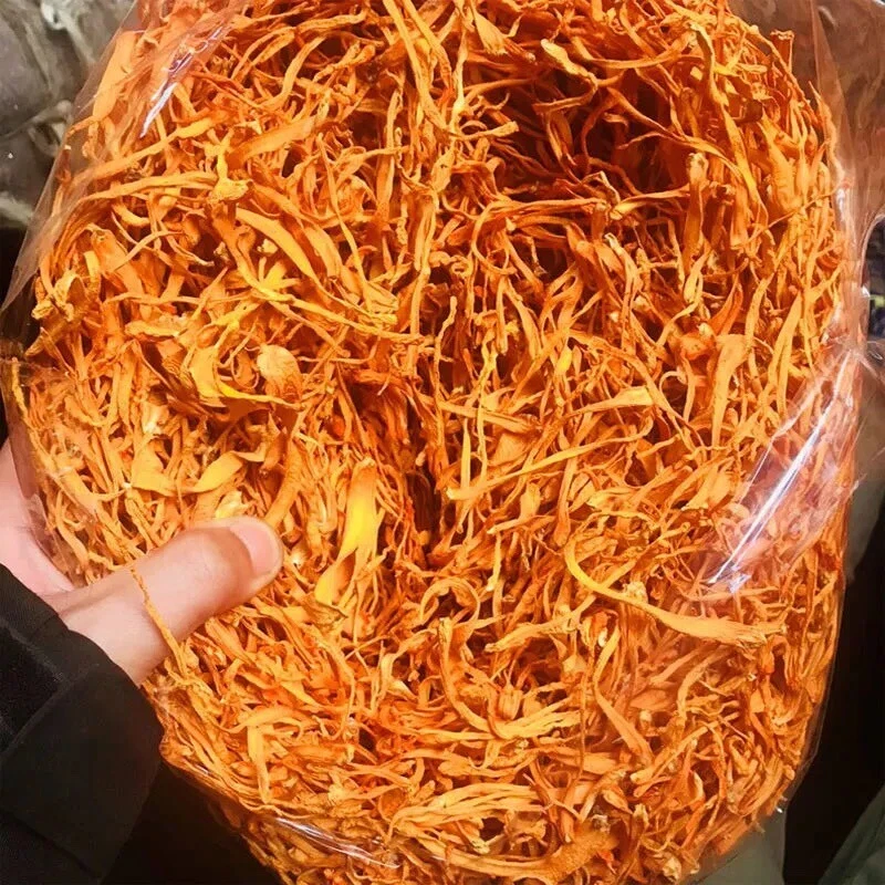 Premium Super Mushroom Cordyceps Militaris hongo Chong Cao Hua 500 g Foto 4 de 4