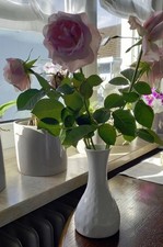 Blumenvase, Porzellanvase, Vase,  Dekoration,Farbe Weiß,  Marke ** Eschenbach **