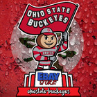Ohiostate-buckeyes