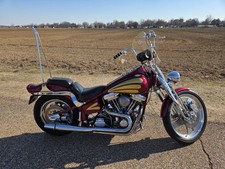 1989 Harley-Davidson Softail for Sale
