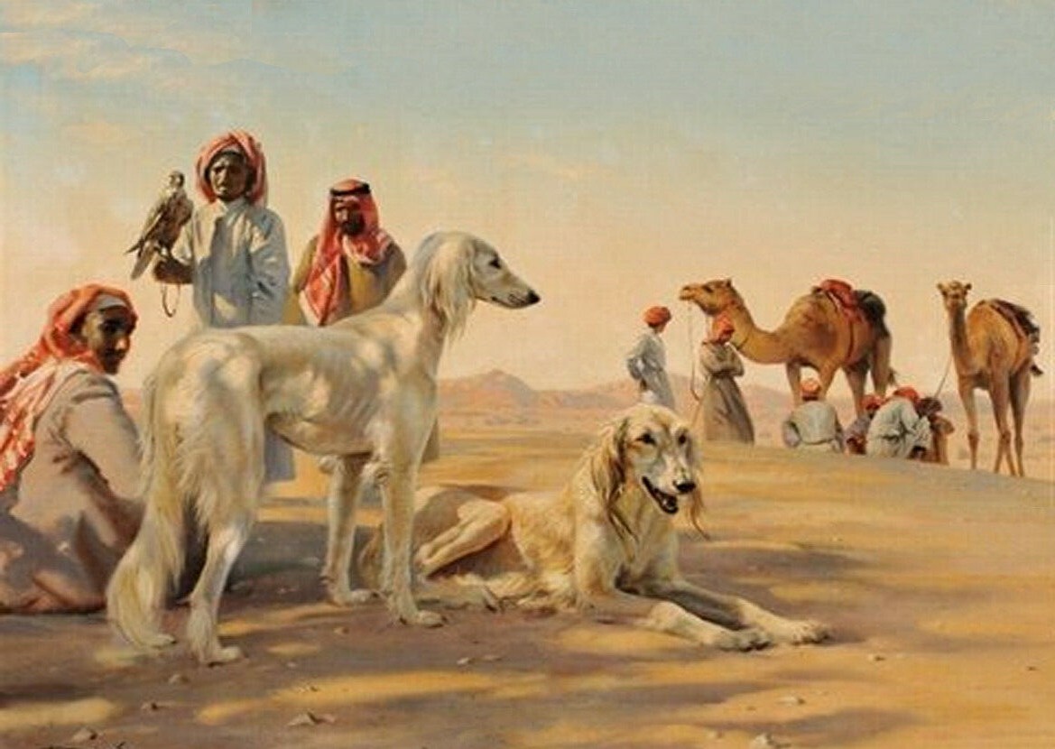 SALUKI CHARMING DOG GREETINGS NOTE CARD, DOGS IN DESERT SCENE