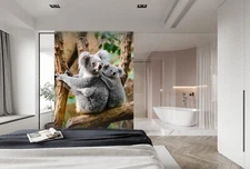 3D Trunk Koala K621 Animal Wallpaper Mural Self-adhesive Removable Kay