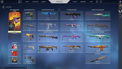 EU Valorant Account Many Skins*Knifes Fast Delivery Full Access!