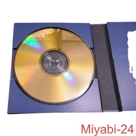 Sonic Adventure 2 10th Anniversary Bonus CD Sega Sonic Series Collectible
