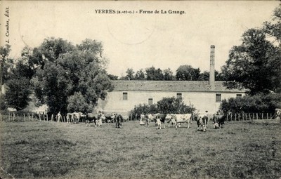 Postcard Yerres Essonne, cows in a meadow in front of a farmhouse - 4651174