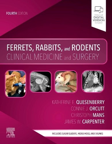 Ferrets, Rabbits, and Rodents Clinical Medicine and Surgery Quesenberry Mans 4e - Image 4