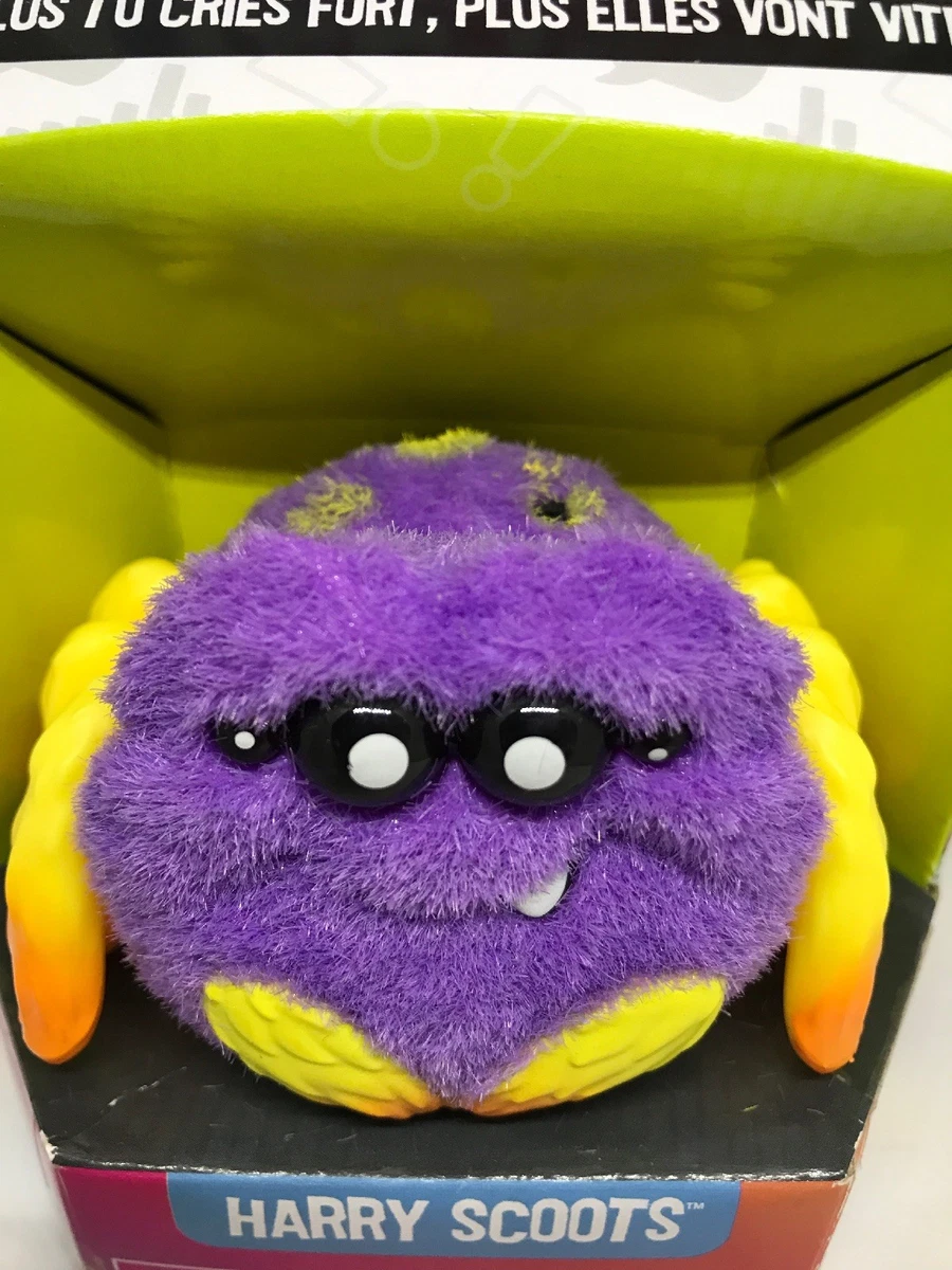 Harry scoots best sale spider