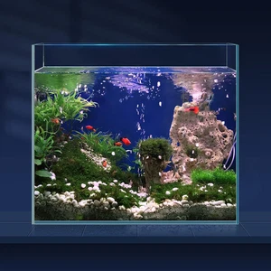 6.5 Gallon Ultra Clear Glass Fish Tank, Rimless Low Iron Aquarium for Betta/Nano