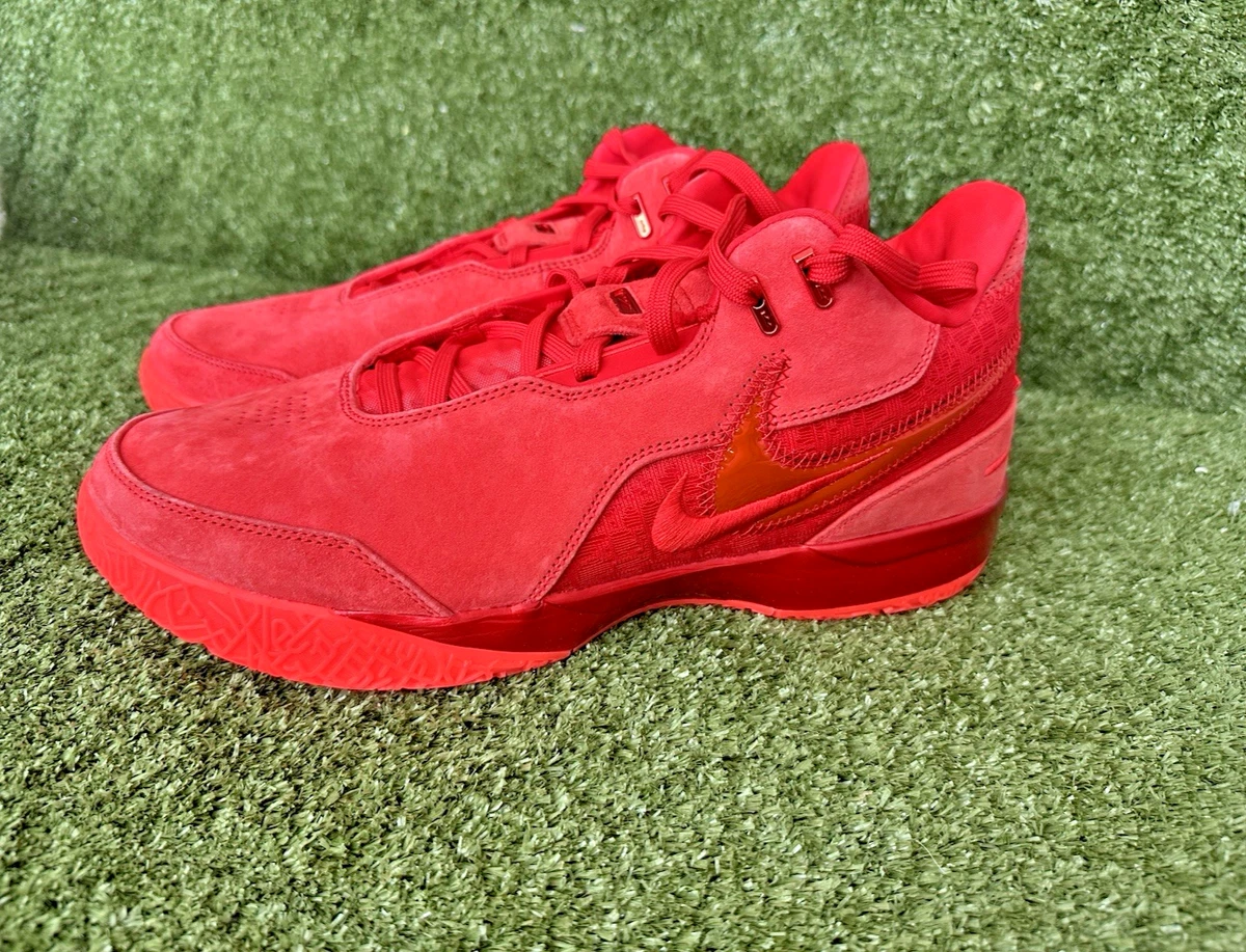 Nike Zoom LeBron NXXT Gen AMPD EP James Gang for Sale