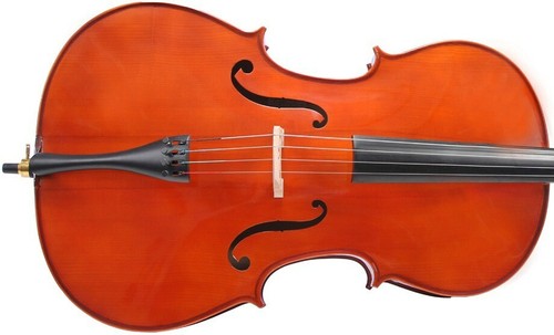 UK Cello 1/2 M-tunes No.100 wood - for learners - Picture 7 of 10