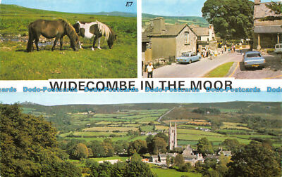R063945 Widecombe im Moor. Multi View. Ashton Reed