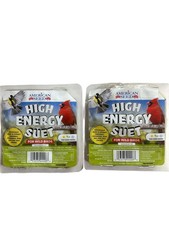 American Seed High Energy Suet For Wild Birds 2 Pack
