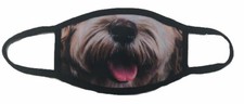 Face mask funny face mask dog cover your face washable reusable face mask