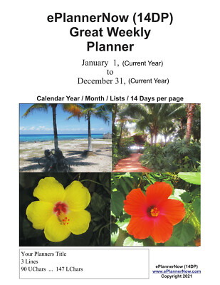 Buy Full 2022 ePlannerNow (4DP)  Daily Weekly Monthly Planner Calendar